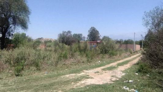 San Luis , San Luis, Tarija 00001, Bolivie