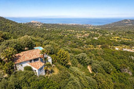 Monticello, Corse 20220, France