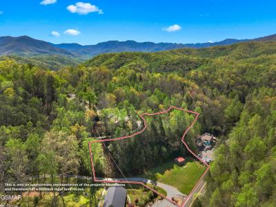 238 Buckhorn Road, Gatlinburg, Tennessee 37738, États-Unis