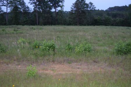 6 B Ryans Way, Minden, Louisiana 71055, USA
