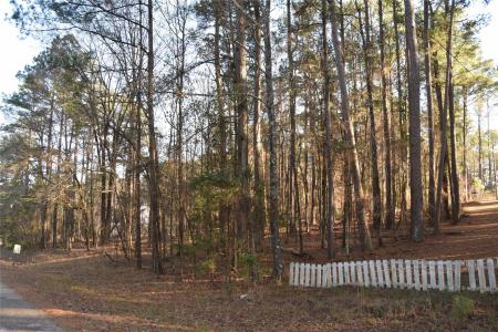 Lot # 41 Timberlane Drive, Minden, Louisiana 71055, USA