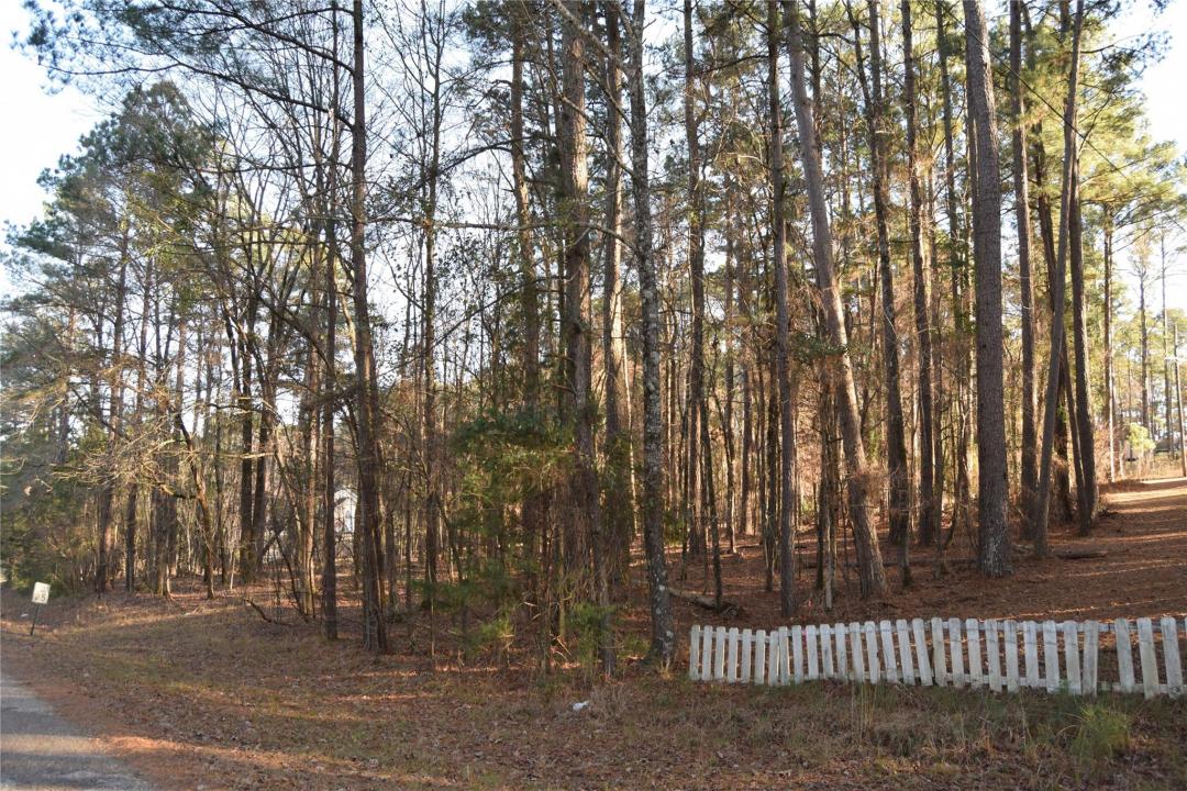 Lot # 41 Timberlane Drive, Minden, لويزيانا 71055, الولايات المتحدة