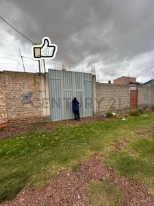URBANIZACION PROGRAMA HABITACIONAL TAPARACHI LOTE 10 MANZANA 31, San Román, Puno 00001, Peru