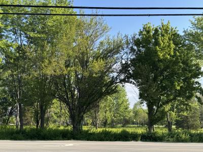 Erie Canal Rd & Springhill Drive, Terre Haute, 印第安納州 47802, 美國