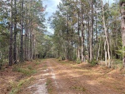 37285 DUMMYLINE Road lot: 13+, Pearl River, Louisiana 70452, Stati Uniti