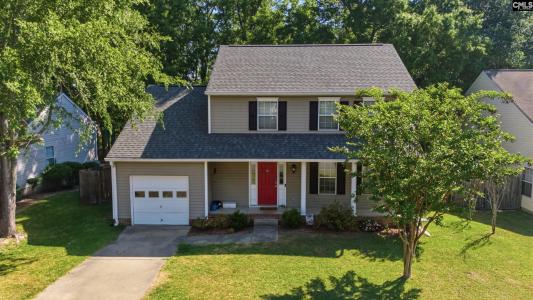 16 Stoney Pointe Drive, Chapin, Carolina Do Sul 29036, Estados Unidos
