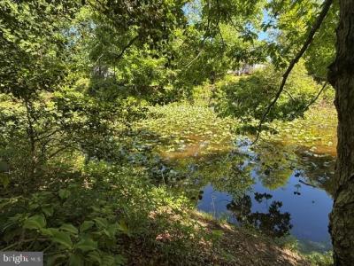 32 Placid Rd, Colonial Beach, Virginia 22443, Estados Unidos