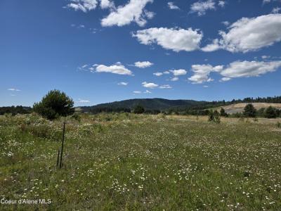 11 S Bolen St, Coeur D'alene, Idaho 83814, USA
