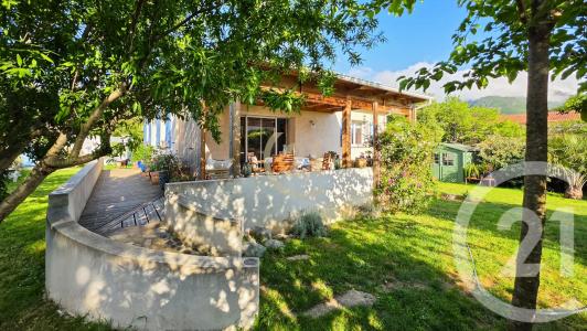 Patrimonio, Corse 20253, France