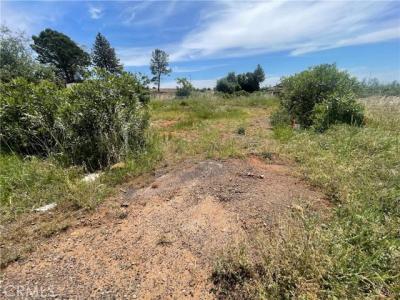 4624 Skyway, Para, California 95969, USA