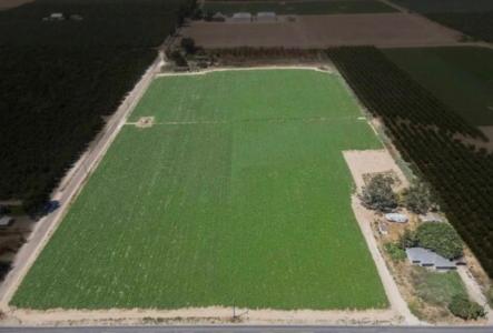 2617 Lincoln Boulevard, Livingston, California 95334, USA