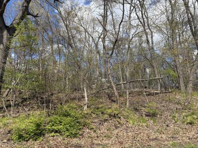 V/L Anderson Road, Cassopolis, Michigan 49031, USA