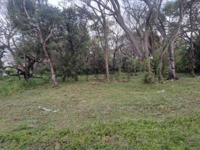 A 400MTS DEL COUNTRY CLUB SAN BERNARDINO , San Bernardino, Cordillera 00001, Paraguay