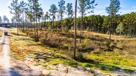 Lot 2 Blackbuck Drive, Москва, Техас 75960, Соединенные Штаты