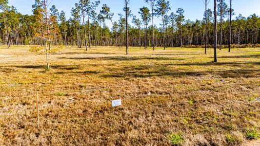 Lot 20 Big Buck Dr, Москва, Техас 75960, Соединенные Штаты