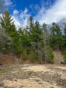 2687 Birchcrest Drive, Kalkaska, מישיגן 49646, ארצות הברית של אמריקה 