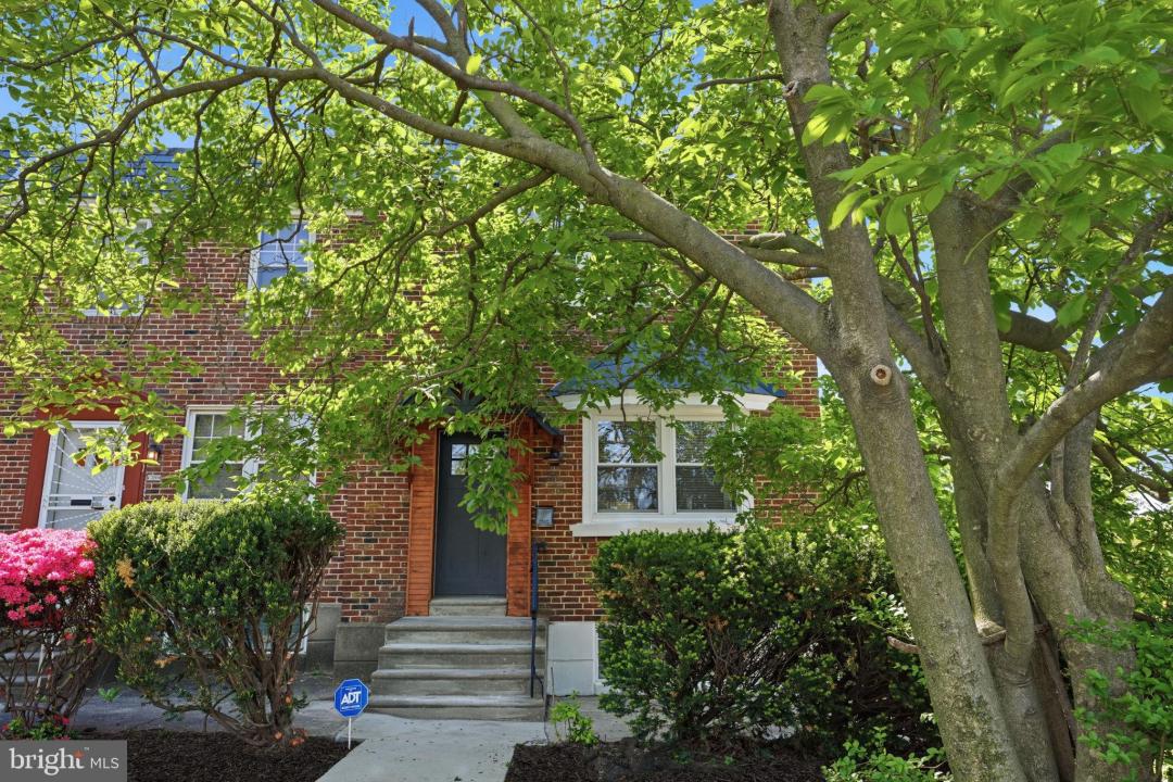 1100 E PHIL ELLENA STREET, PHILADELPHIA, بنسلفانيا 19150, الولايات المتحدة