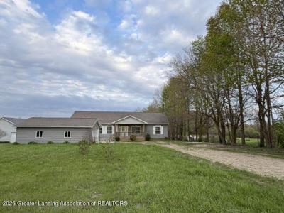9503 Babcock Road, Bellevue, Michigan 49021, USA