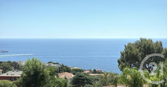 Cap D Ail, Provence-Alpes-Côte D'Azur 06320, Франция