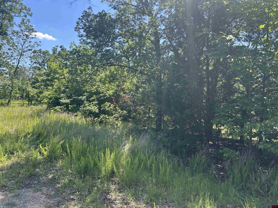 002-02617-000 CR 577, Mountain Home, Arkansas 72653