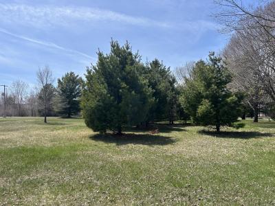 Lot 30 Vaughn Trail, Oscoda, Michigan 48750, Estados Unidos
