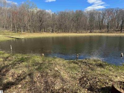 10311 Alpine Drive, Reed City, Michigan 49677, USA