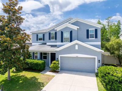 12846 Tikal Way, Trinity, Florida 34655, USA