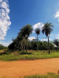 Sede social Asociacion FAPASA , Itauguá, Central 120321, Paraguay