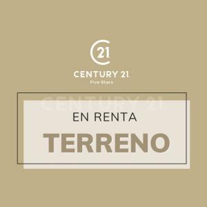 Benito Juárez, Ciudad De México 03303, México