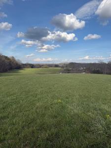 97.32 Griffith Road, Pikeville, טנסי 37367, ארצות הברית של אמריקה 