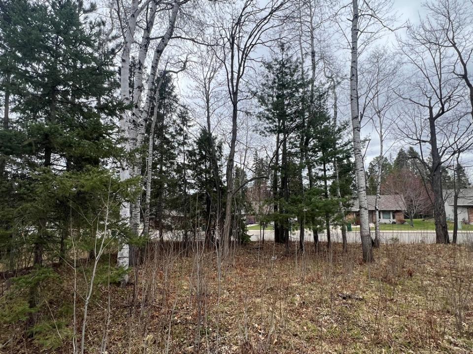 TBD 3rd Ave SW, Grand Rapids, Minnesota 55744, Estados Unidos