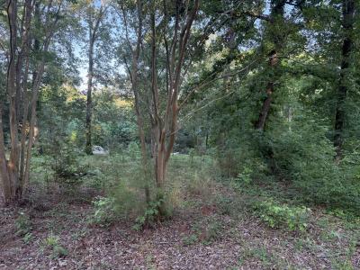 138 Buck Road, Downsville, Louisiana 71234, USA