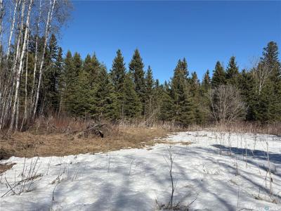 RURAL ADDRESS, Big River Rm No. 555, Saskatchewan S0J 0E0, Canada