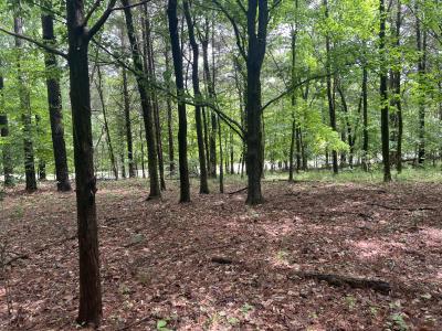 Lot 147 Parrish Ridge, Goreville, Иллинойс 62939, Соединенные Штаты