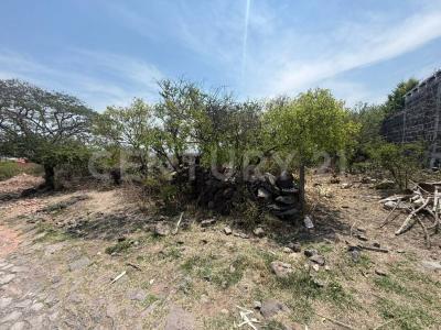 Parcela No. 405, Zona 1, P 1/1,, San Juan Del Río, Querétaro 76826, Mexico