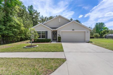 17528 Garsalaso Circle, Brooksville, Floride 34604, États-Unis
