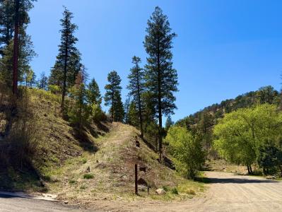102 King Richard, Ruidoso, 新墨西哥州 88345, 美国