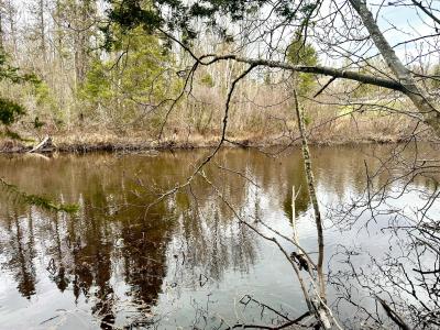 2 Acres St. Louis Rd., Phelps, ויסקונסין 54554, ארצות הברית של אמריקה