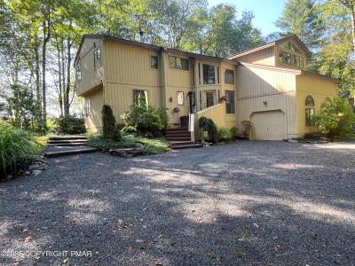 108 Blackfoot Trail, Pocono Pines, 宾夕法尼亚州 18350, 美国