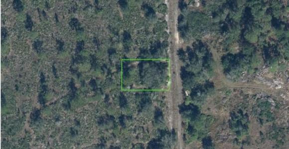 4021 Palermo Avenue, Sebring, Florida 33872, USA