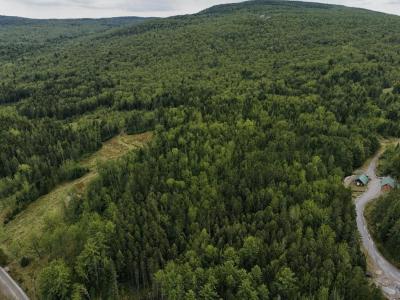 Pleasant Street, Brighton, Vermont 05846, USA