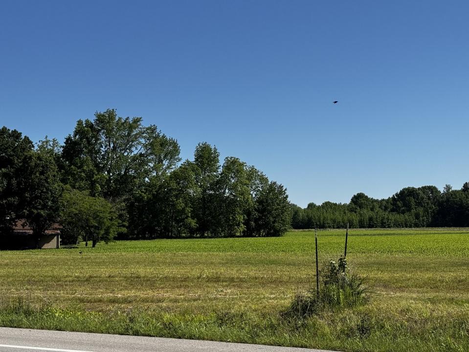 2221 County Road 608, Poplar Bluff, Missouri 63901, Estados Unidos