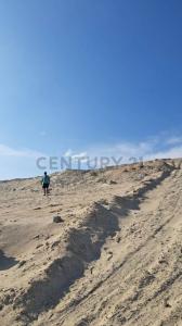 mz B Lote 16 Sector Pampa Morrengo , Camaná, Arequipa 00001, 페루