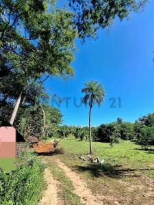 Oeste, Santa Cruz 00001, Bolivia