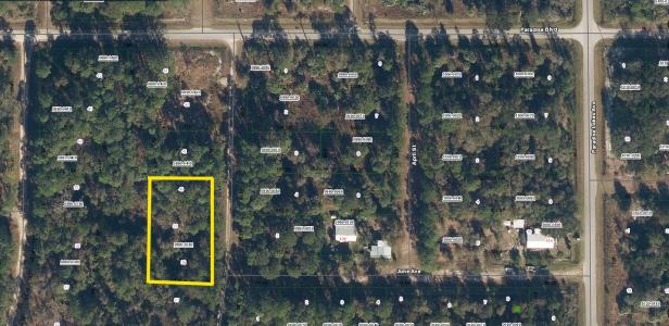 109 Anne Blvd, Georgetown, Florida 32139, USA