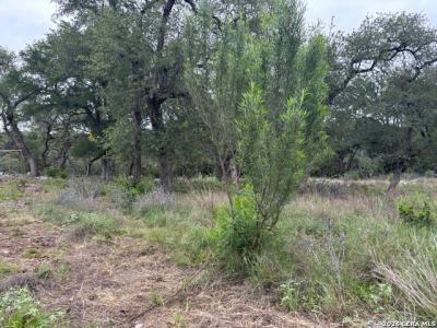 1464 Stahlman Way, New Braunfels, Texas 78132, USA
