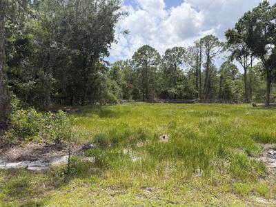 5211 Lake Haven Blvd, Sebring, Florida 33875, USA