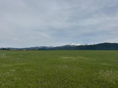 76 Willey Lane unit: 1, McCall, Idaho 83638, HOA KỲ