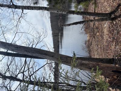 Off CTH S, Land O Lakes, Wisconsin 54540, USA