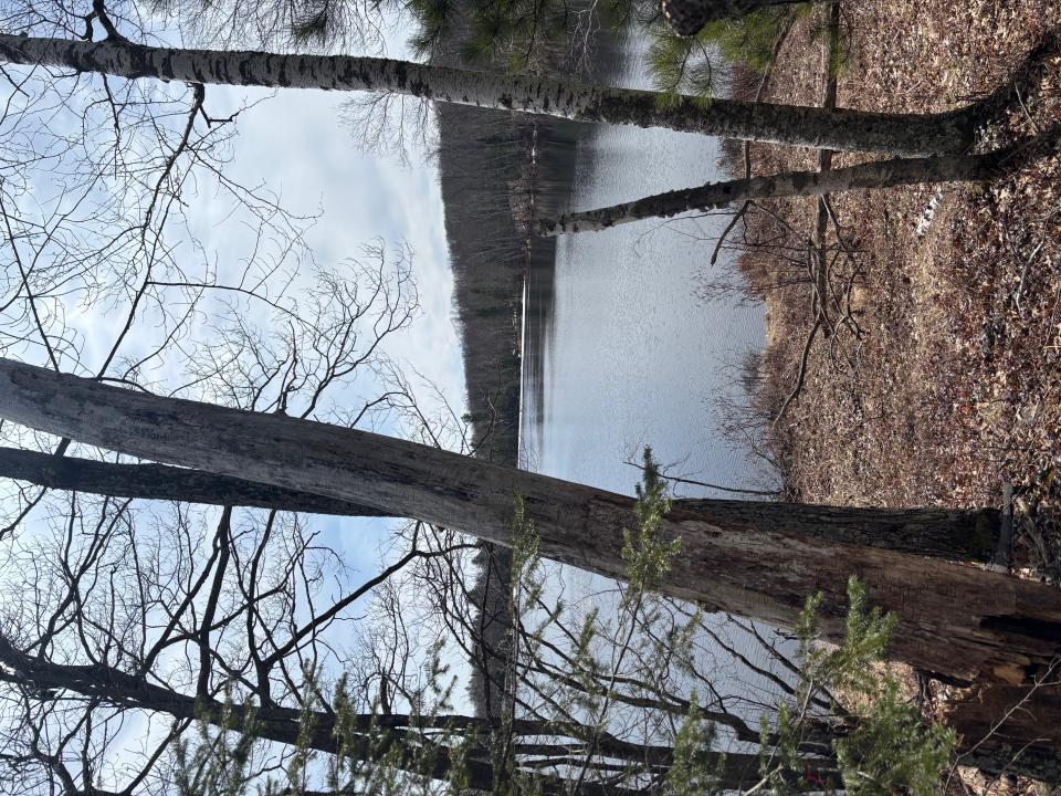 Off CTH S, Land O Lakes, Wisconsin 54540, États-Unis